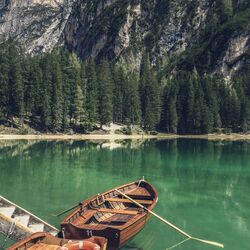 Mein alternativer Text