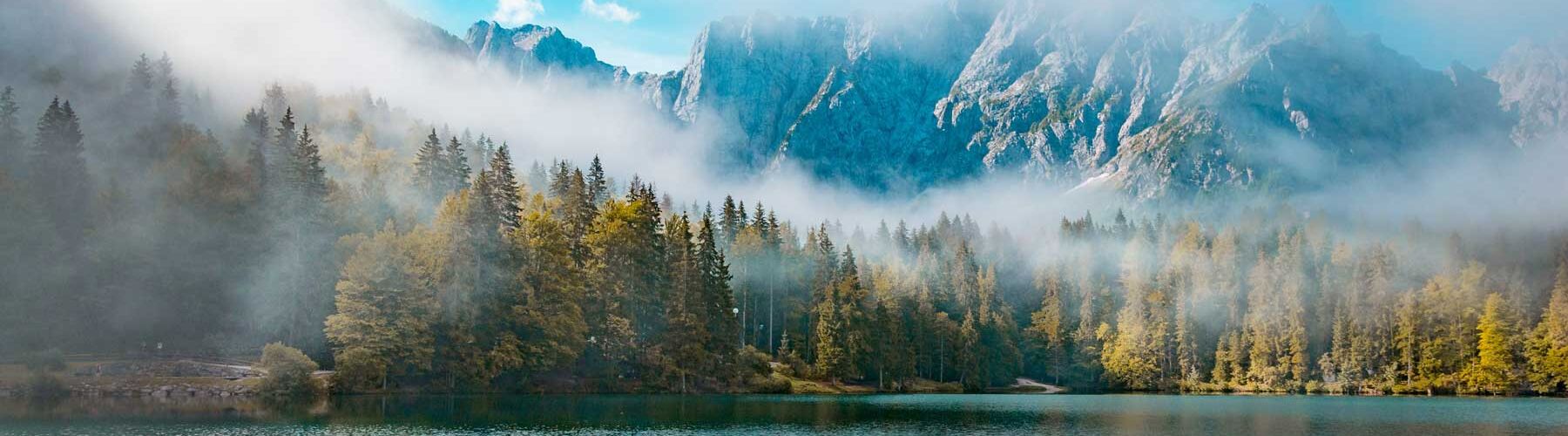 Mein alternativer Text